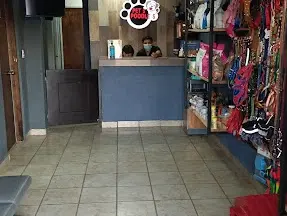 Veterinaria Pet's Poodle's — foto 4 de 4