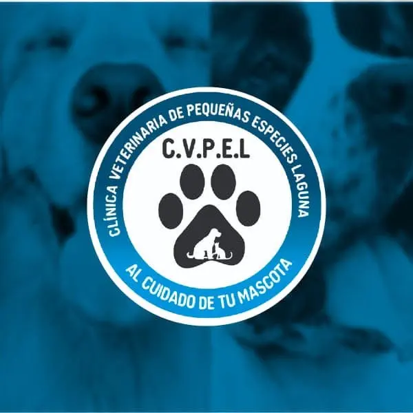 Clínica Veterinaria de Pequeñas Especies Laguna
