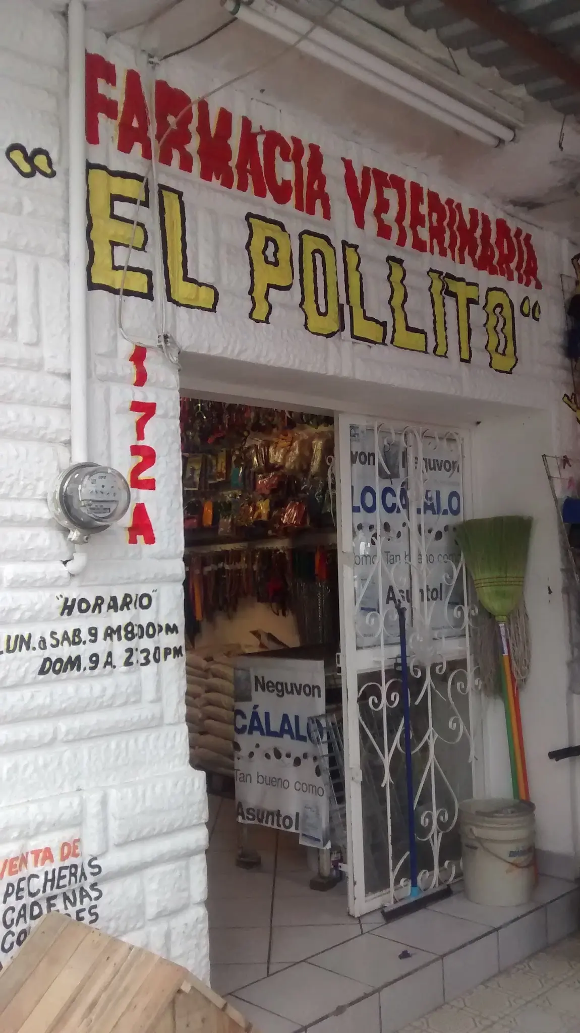 El Pollito