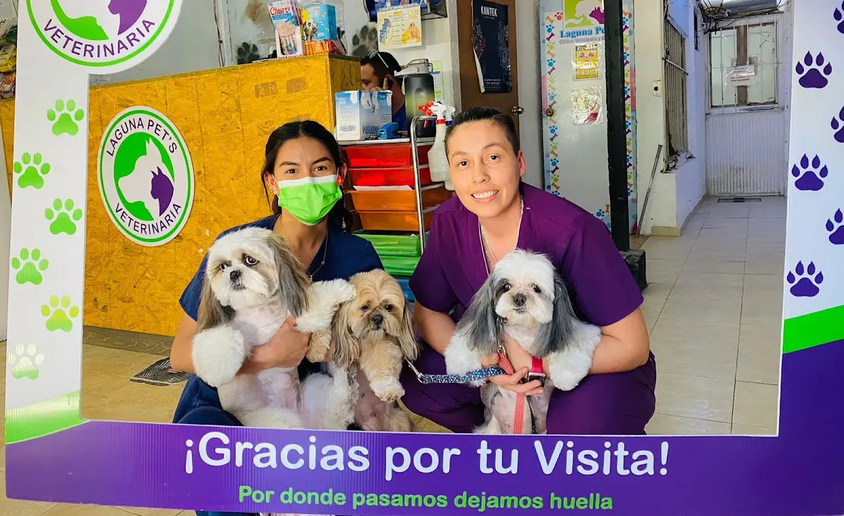 Veterinaria Laguna Pets