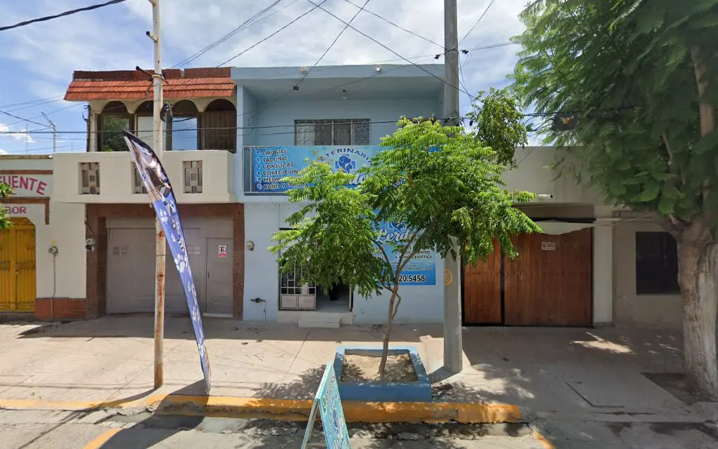 Veterinaria y Acuario "Lerdo" — foto 5 de 7