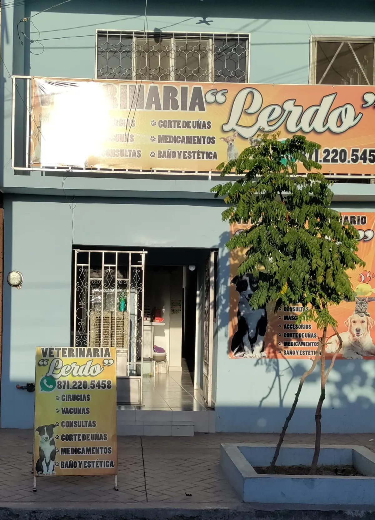 Veterinaria y Acuario "Lerdo" — foto 6 de 7