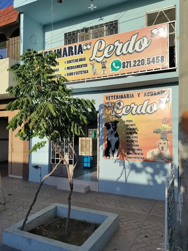 Veterinaria y Acuario "Lerdo" — foto 7 de 7
