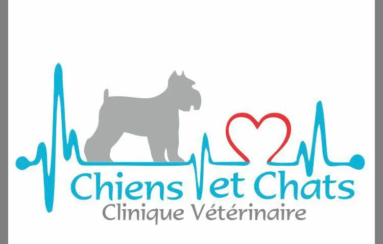 Chiens et Chats — foto 2 de 3