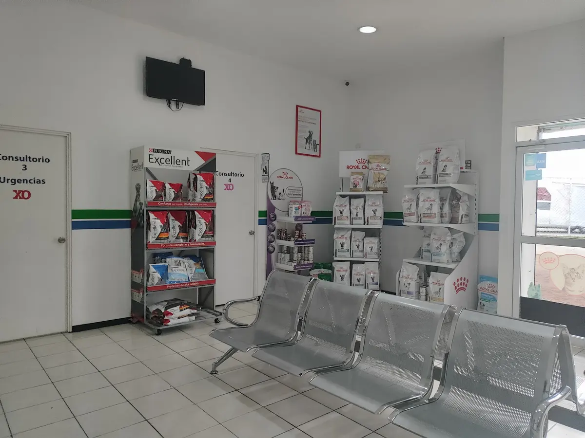 DyScan Centro Veterinario