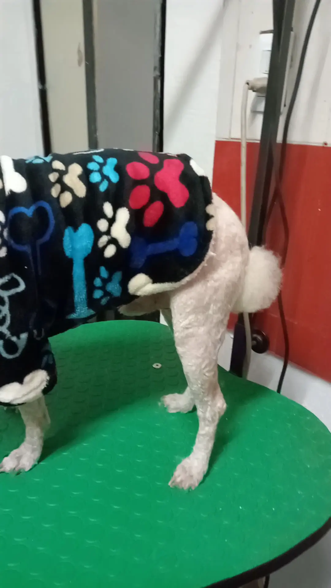 Centro Integral Veterinario Mil Huellas — foto 2 de 3