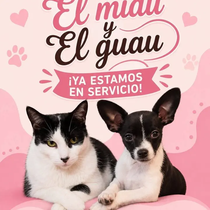 Estetica canina "El miau y el guau"