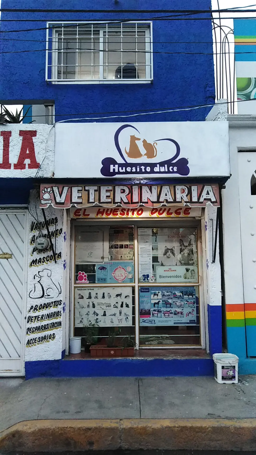 Veterinaria Huesito