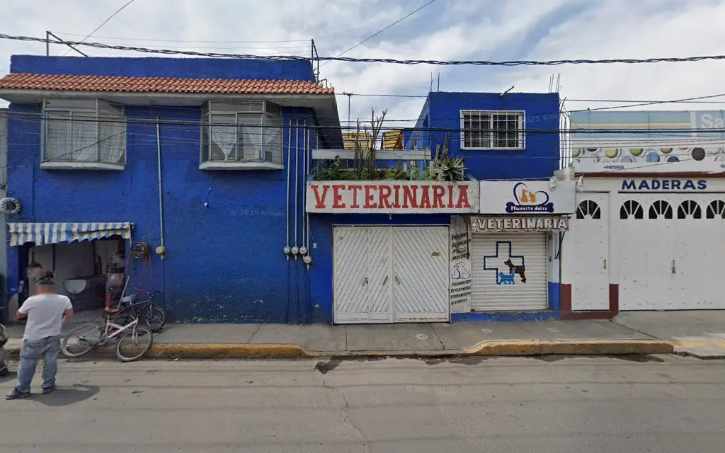 Veterinaria Huesito — foto 2 de 2
