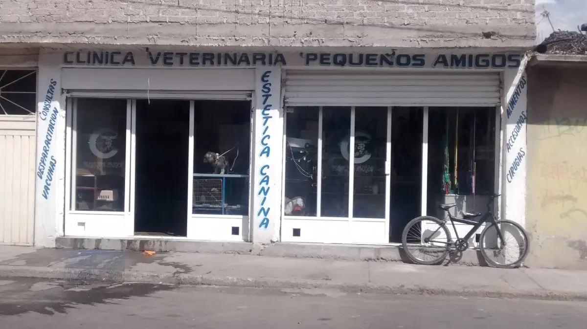 Clínica Veterinaria Pequeños Amigos