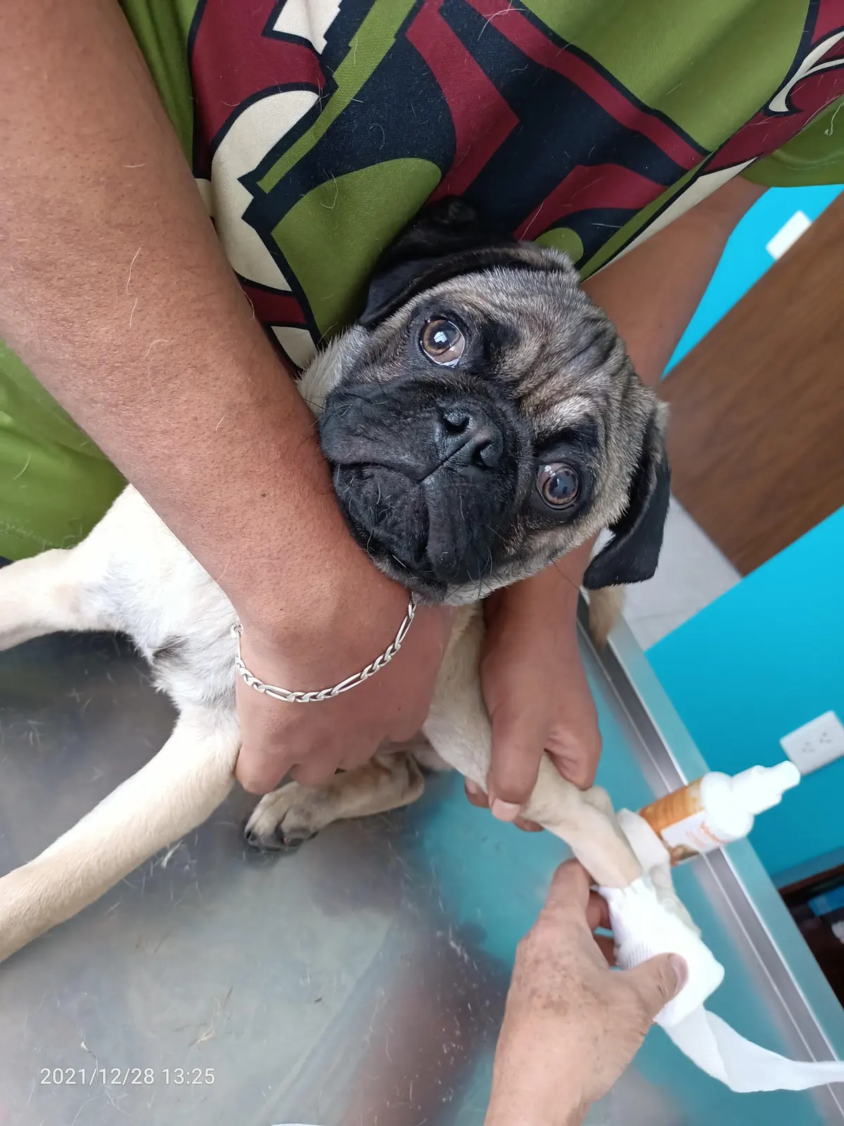 Hospital Veterinario Ositos