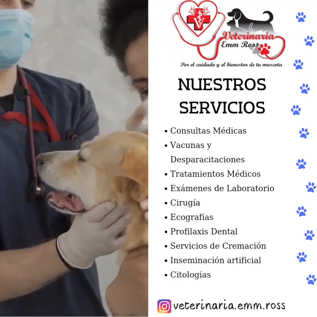 Veterinaria Emm Ross — foto 2 de 3