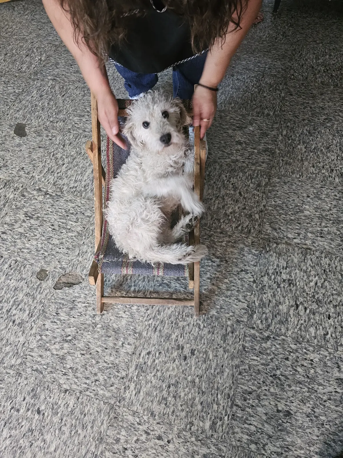 Veterinaria La Herradura