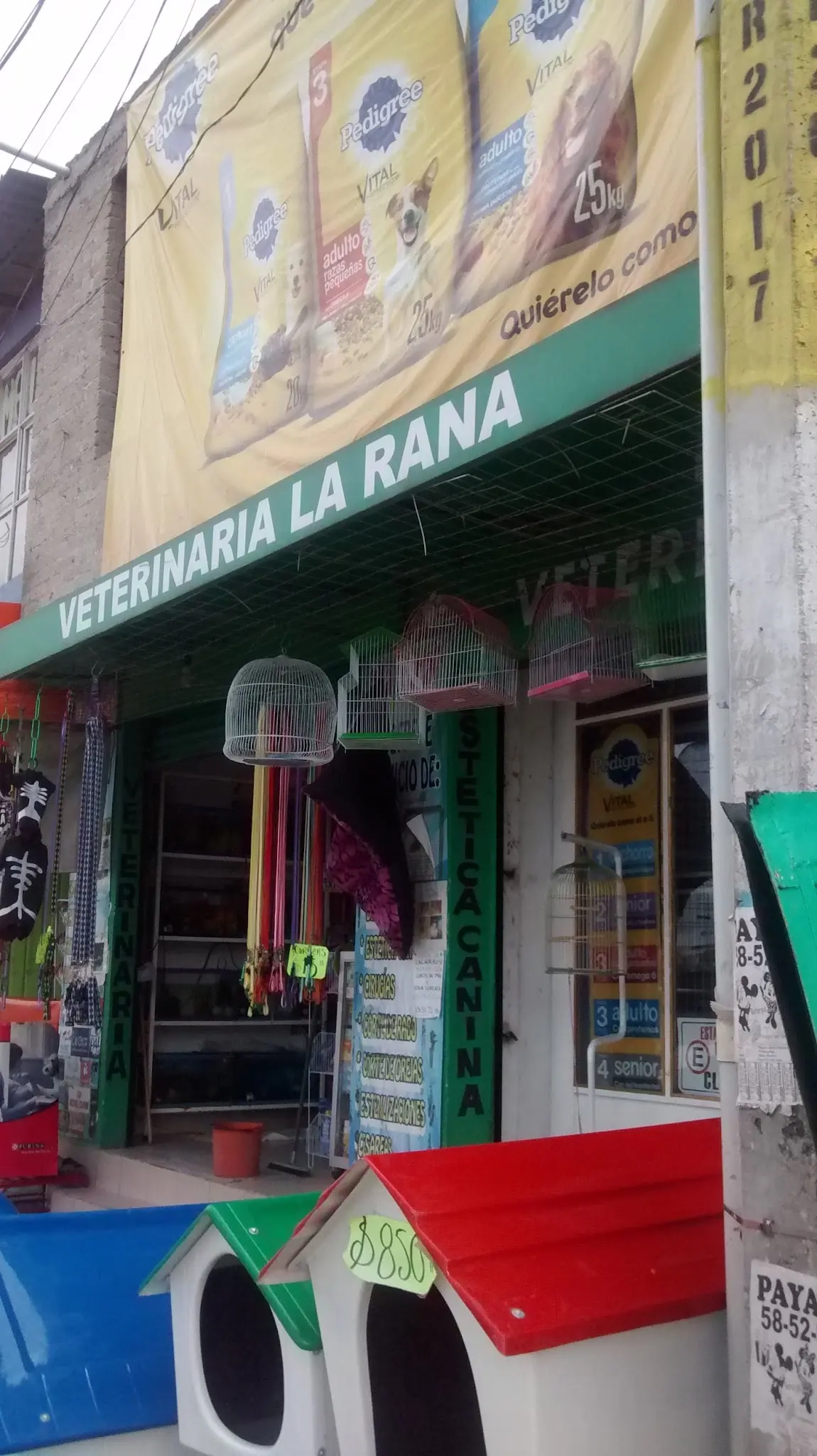 Veterinaria La Rana