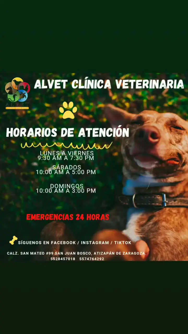 ALVET CLÍNICA VETERINARIA — foto 2 de 3