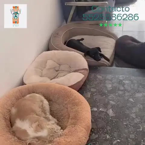 Centro Veterinario Fuentes — foto 2 de 3