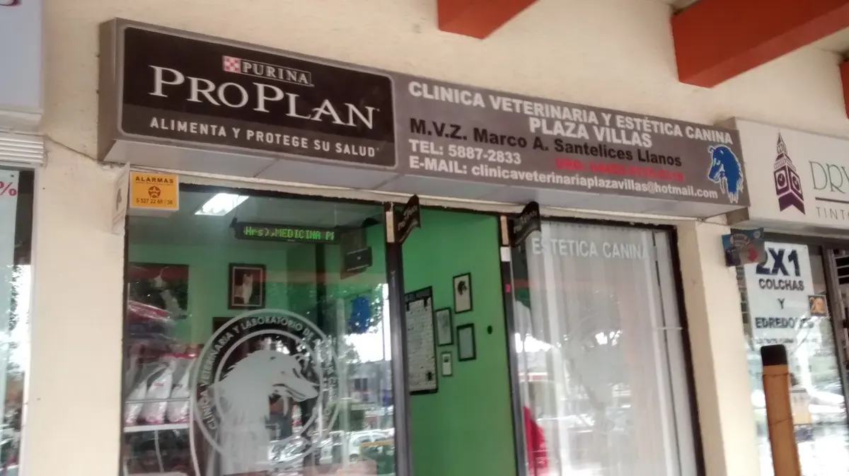 Clínica Veterinaria Plaza Villas