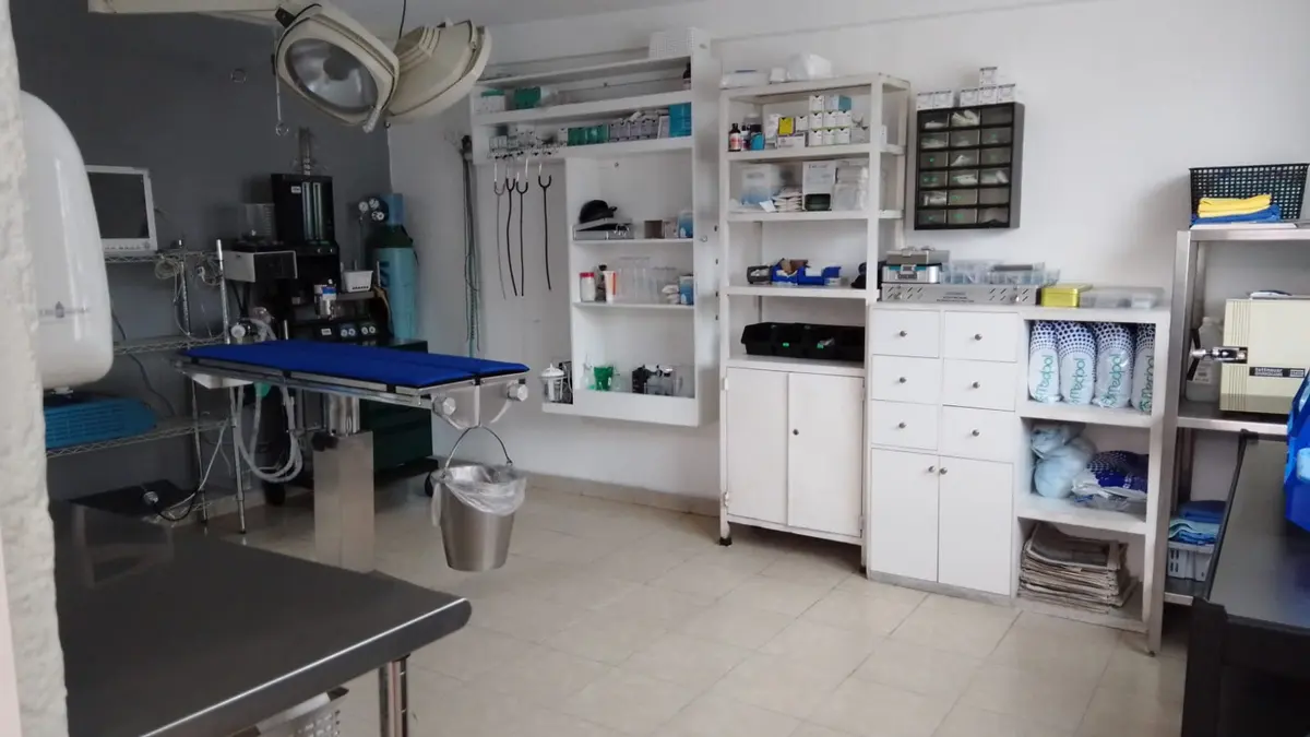 Clínica Veterinaria San Francisco