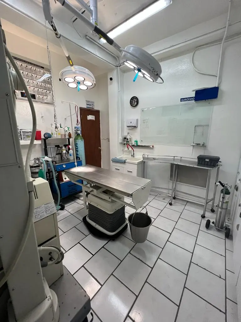 Hospital Integral Veterinario