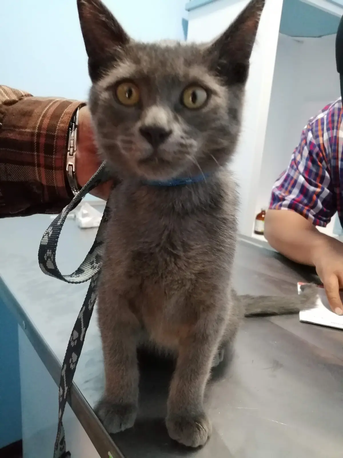 Centro Veterinario Neza — foto 3 de 3
