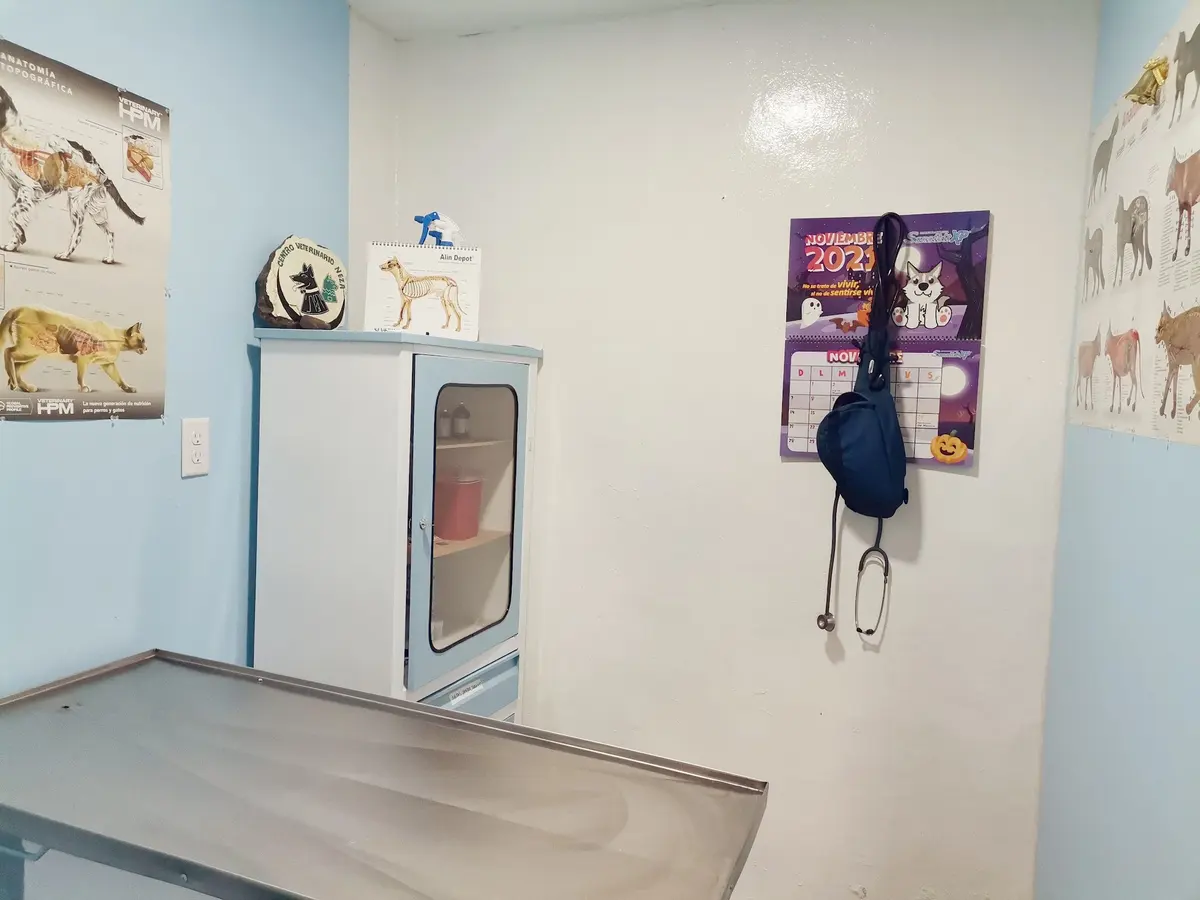 Centro Veterinario Neza