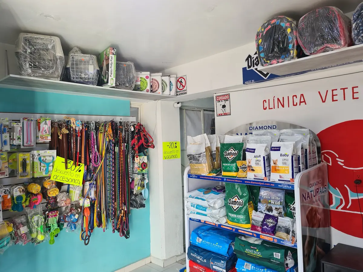 Clinica Veterinaria 24 horas