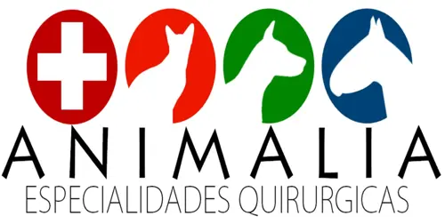Clinica Veterinaria Animalia Esp. Quirúrgicas