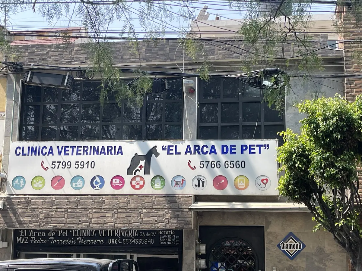 Clinica Veterinaria El Arca De Pet
