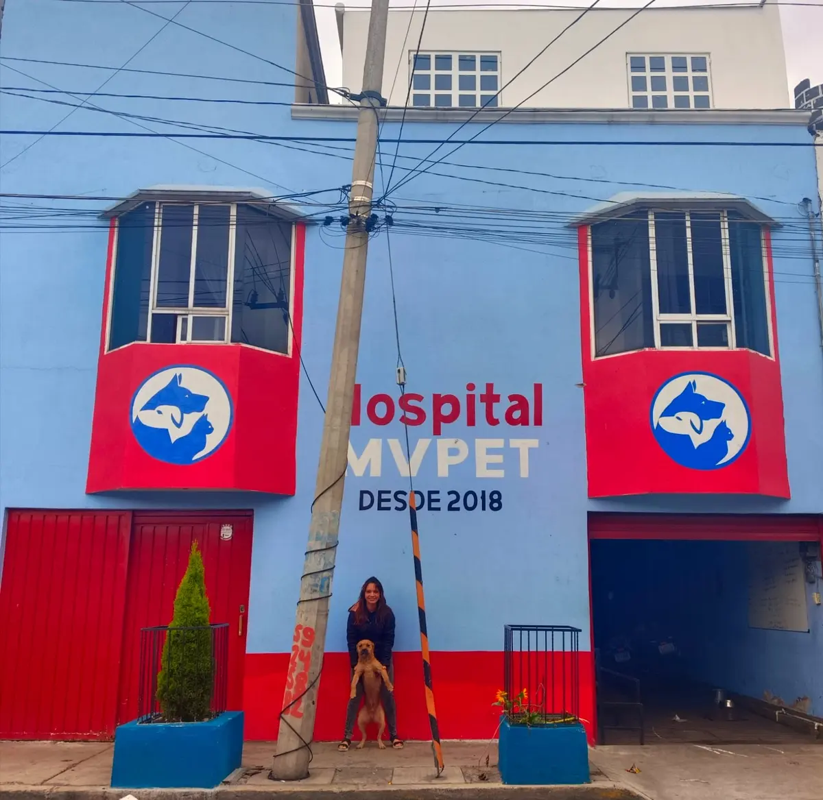 Hospital veterinario MVPET
