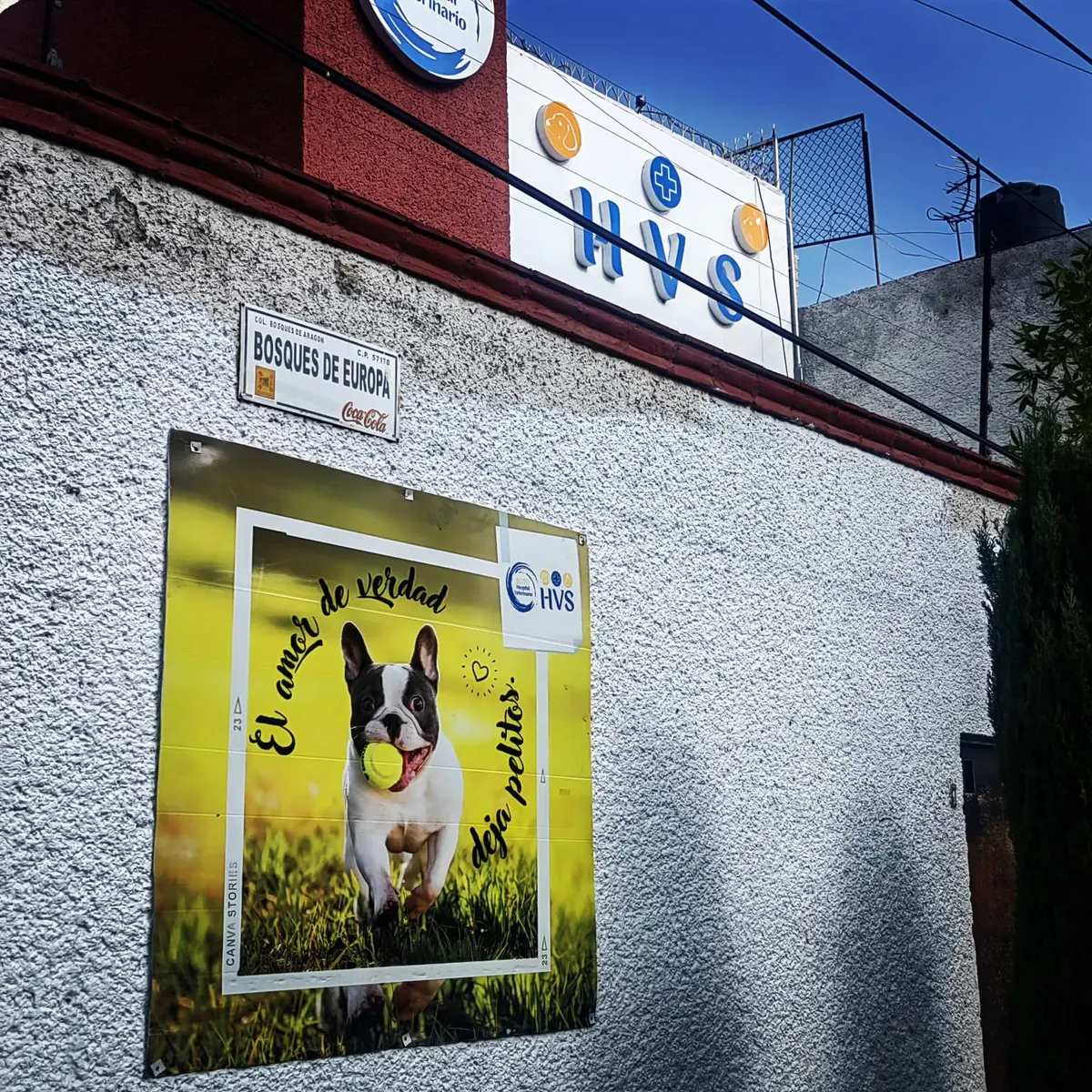 Hospital Veterinario Soto