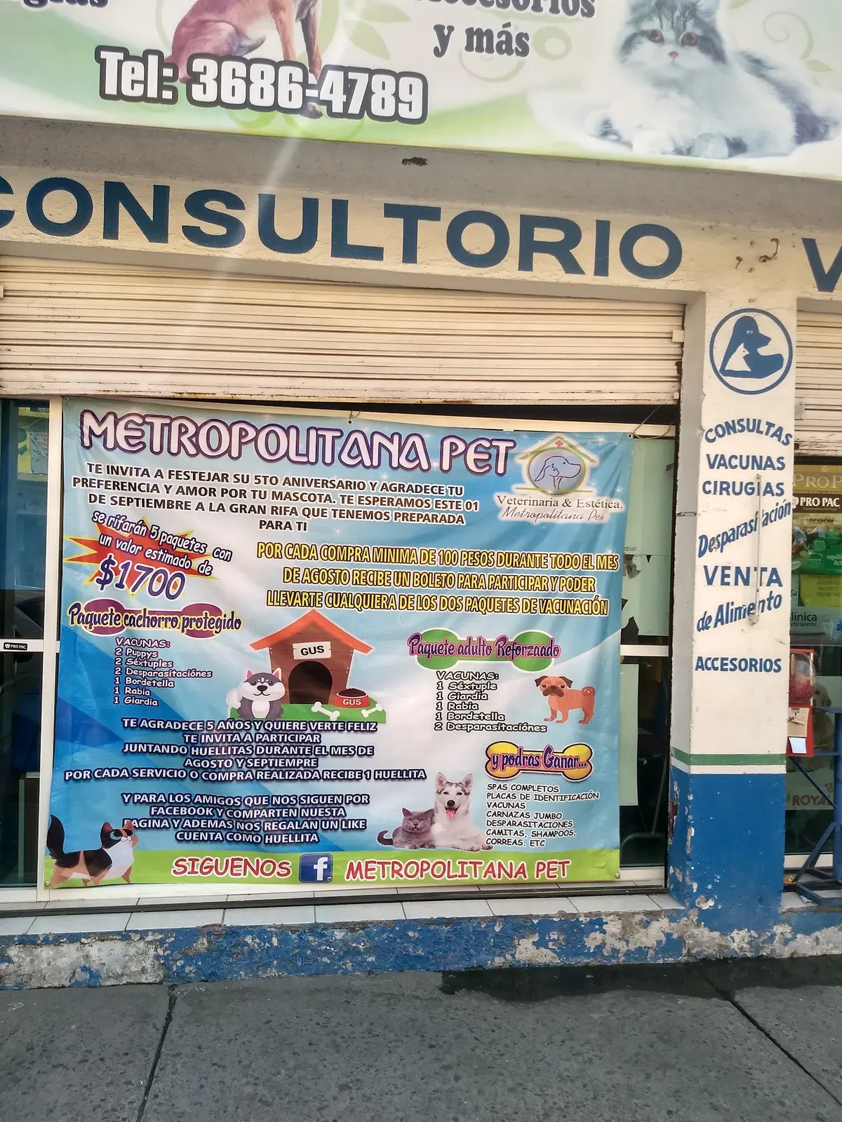Metropolitana Pet