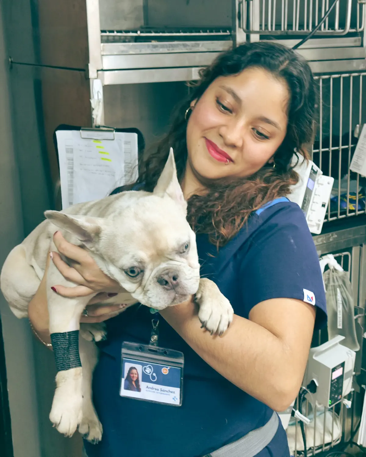 Vet & Care Centro Médico Veterinario — foto 4 de 6