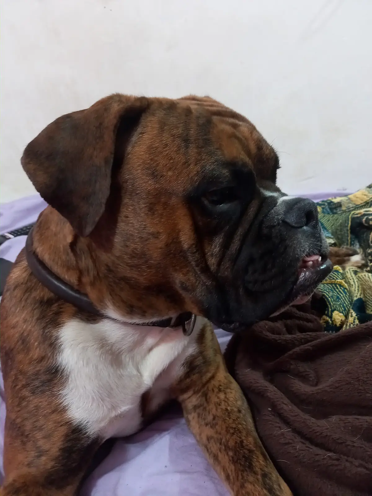 Veterinaria Los Vaqueros