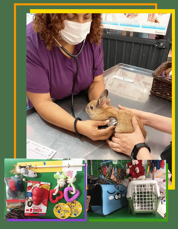 ZooMascota Clínica Veterinaria — foto 3 de 4