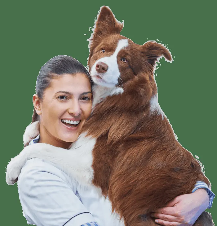 ZooMascota Clínica Veterinaria — foto 2 de 4