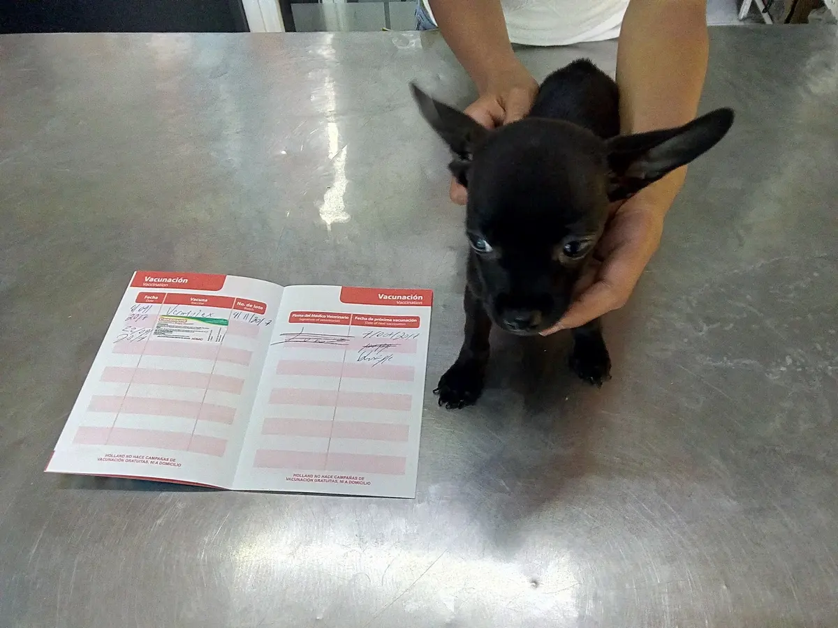 Clínica Veterinaria Dr.Can