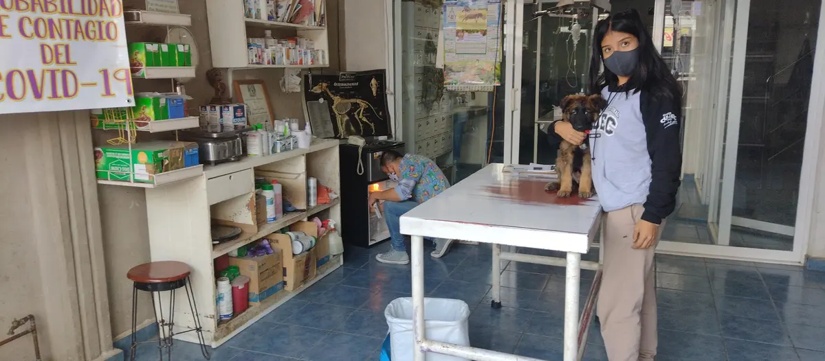 Clínica Veterinaria