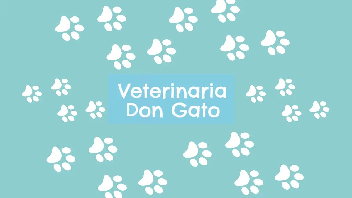 Veterinaria Don Gato