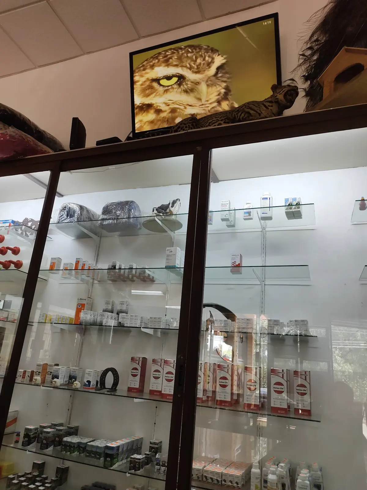 Veterinaria Los Pinos