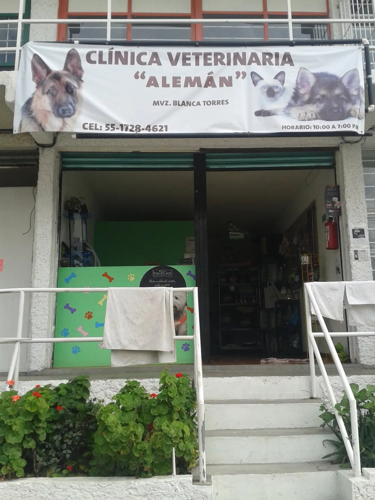 Clínica Veterinaria Alemán