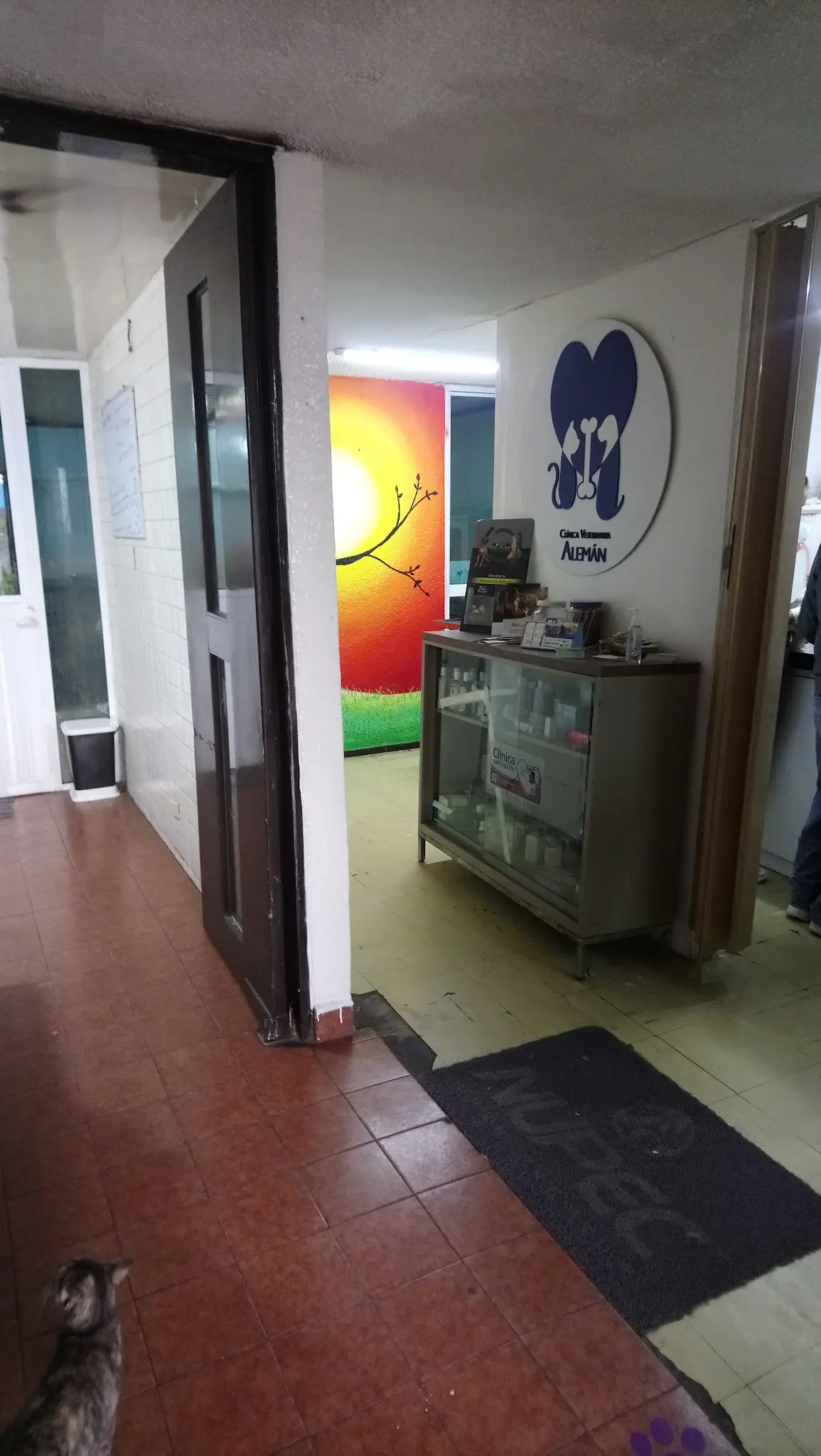 Clínica Veterinaria Alemán — foto 3 de 3