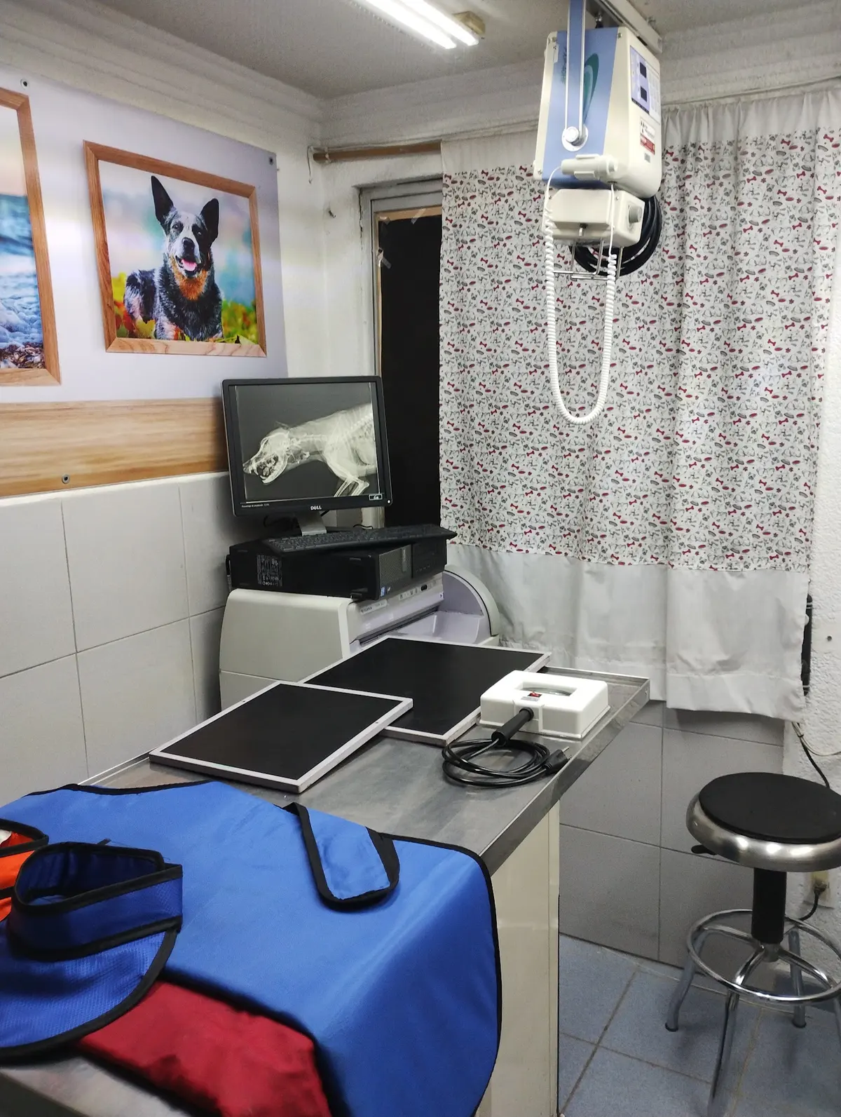 Clínica Veterinaria Bosanvet — foto 3 de 3