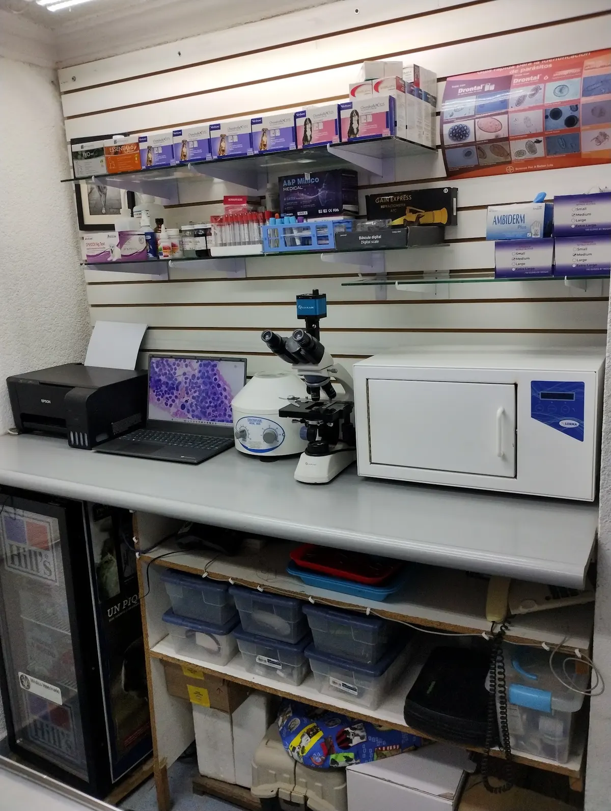 Clínica Veterinaria Bosanvet