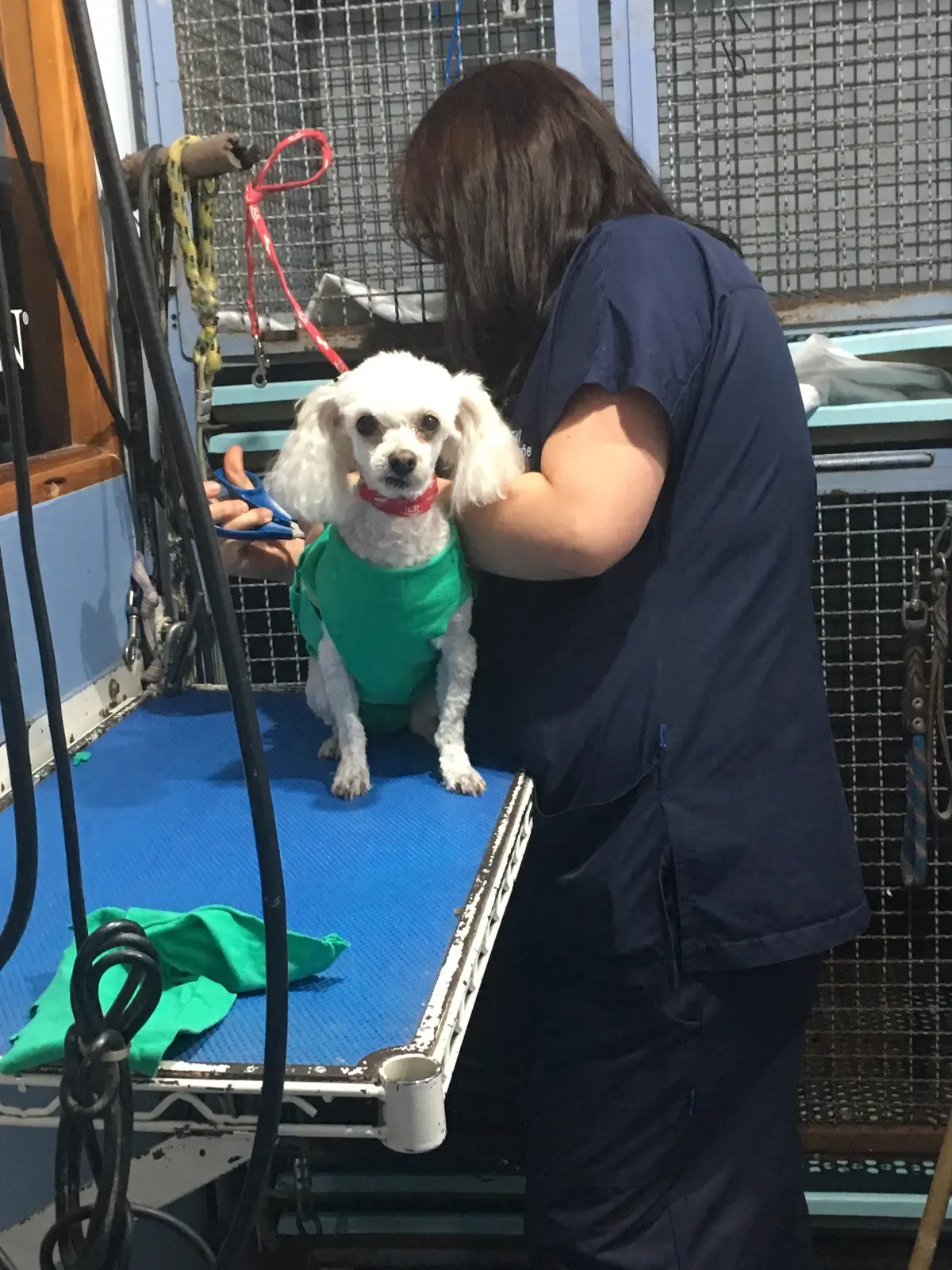 Clínica Veterinaria CEVI
