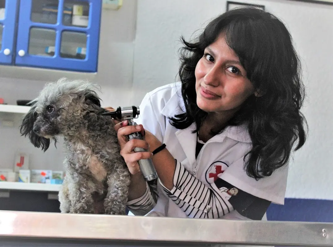 Veterinaria Melody