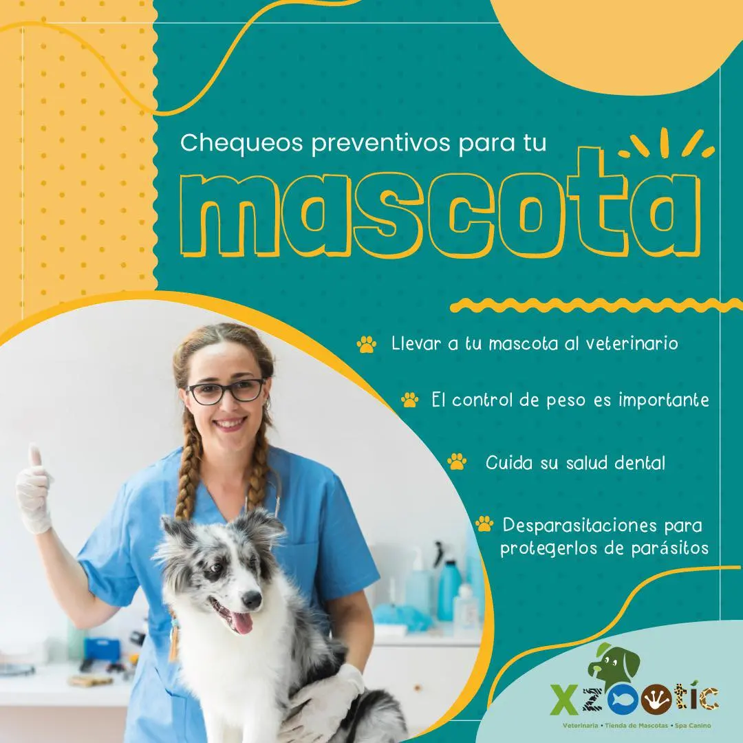 Xzootic tienda de mascotas — foto 2 de 3
