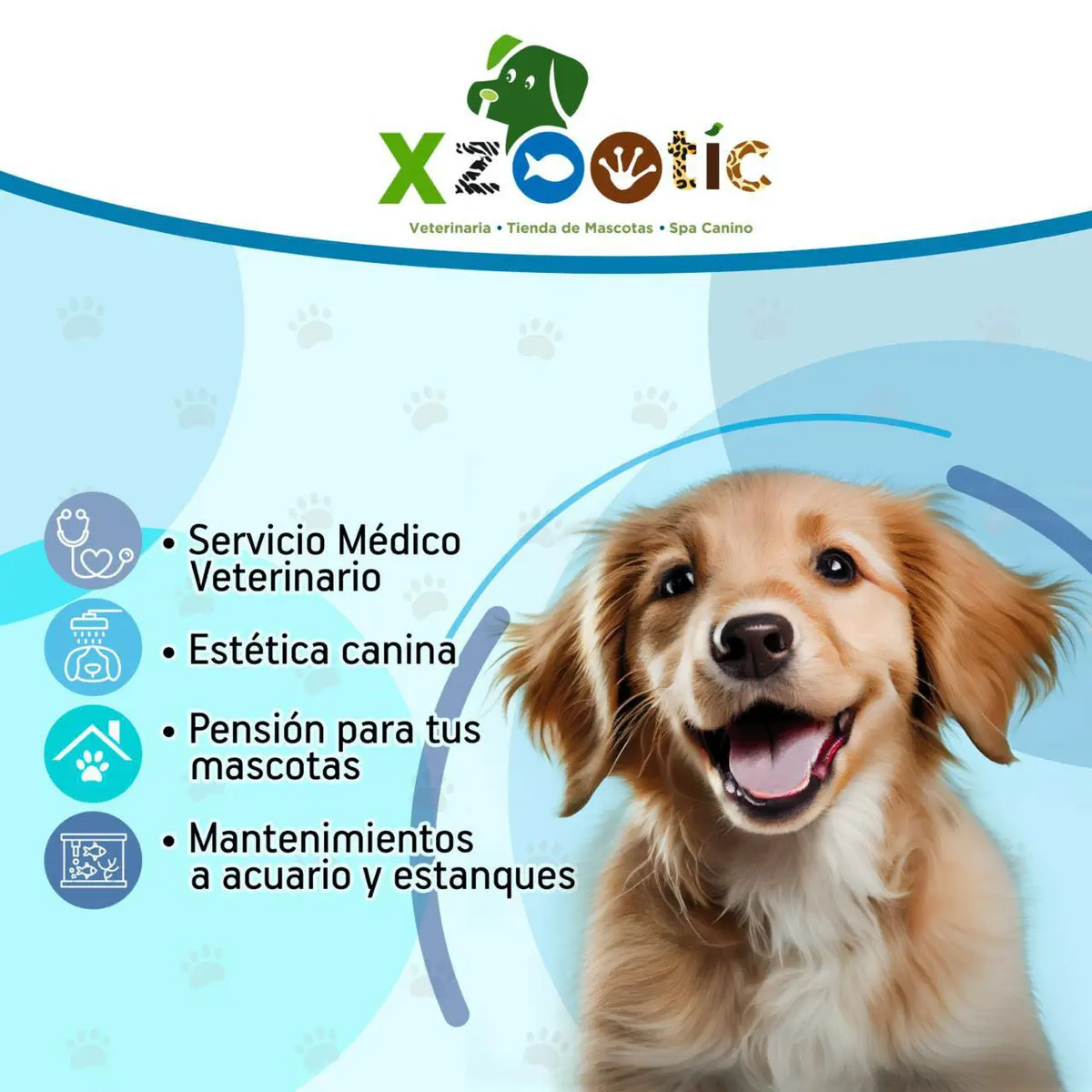 Xzootic tienda de mascotas
