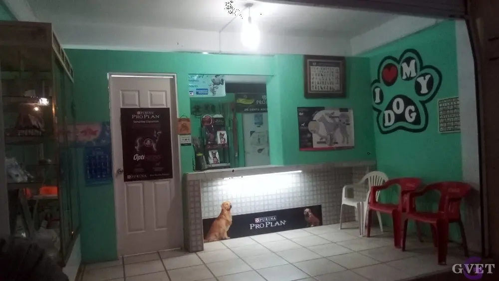 Centro Médico Veterinario Monroy -antes Snoopy- — foto 2 de 4