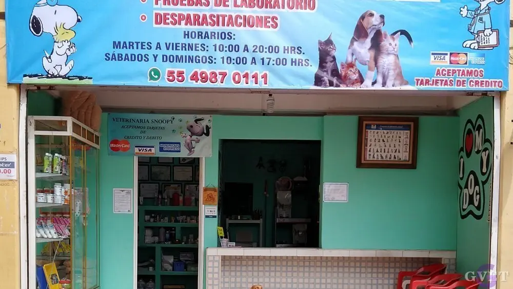 Centro Médico Veterinario Monroy -antes Snoopy- — foto 4 de 4