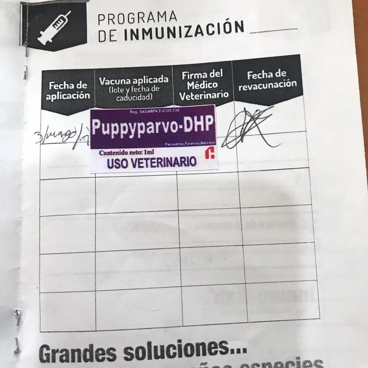 Clinica Integral Veterinaria Xchel — foto 3 de 3